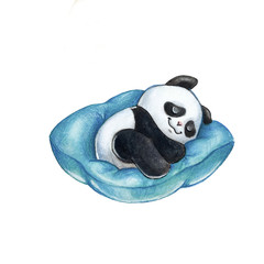 Baby-panda sleeping © Hanna