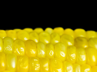 Close up boiled corn , in studio Chiangmai Thailand