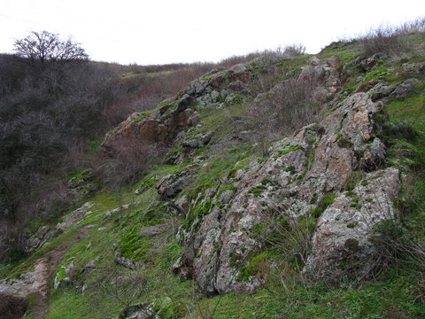 Fragmenty skał porośnięte mchem nad rzeką Dniepr, Chortyca, Zaporoże, Ukraina	