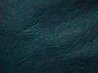 Turquoise skin texture, leather background