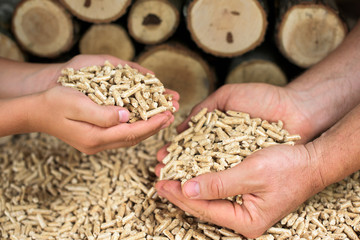 Male and child hands holding wooden biomass pellets