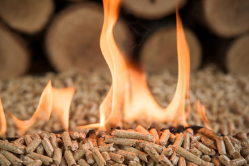 Close-up of burning wooden pellets. Biomass