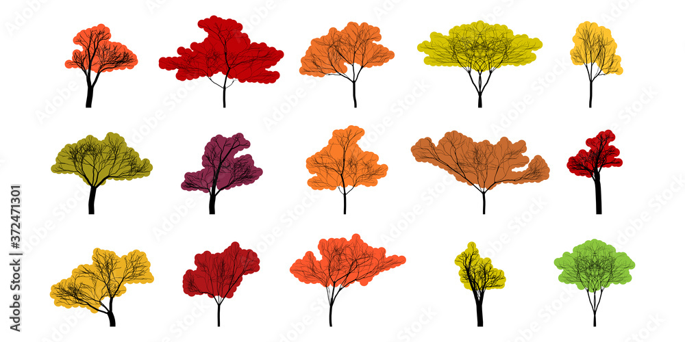 Wall mural tree. autumn trees different shape and color. autumn tree, isolated. trees in flat modern design. ve