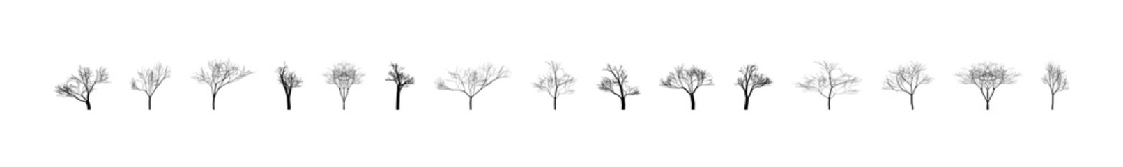 Trees. Bare trees. Template bare trees for winter design. Tree in flat design. Vector illustration