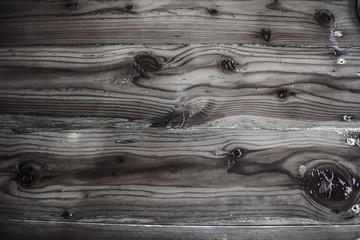 texture of bark wood use as natural background