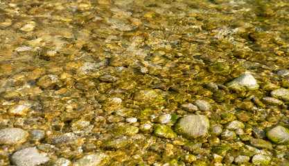 stones in the clear water of a mountain river