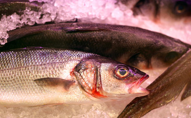 Photo of a beautiful macro of delicious red fish