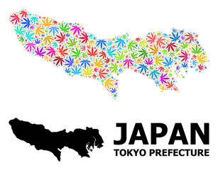 Obraz premium Vector Mosaic Map of Tokyo Prefecture of Colored Marijuana Leaves and Solid Map