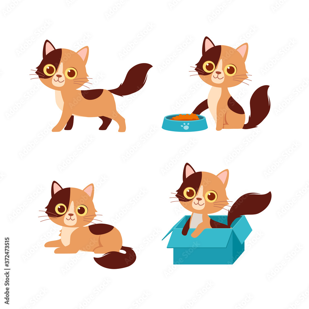 Poster cute cat pet animal playing pose style set bundle