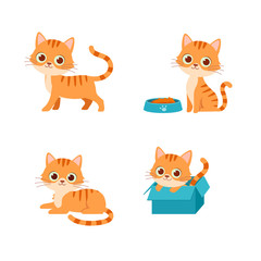 cute cat pet animal playing pose style set bundle © Colorfuel Studio