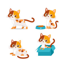 Fototapeta premium cute cat pet animal playing pose style set bundle