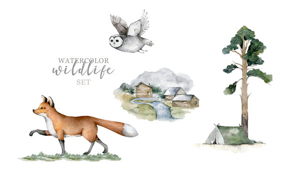 Forest animals. Realistic winter cute walking wildlife fox, owl and landscape with tent isolated illustration on white background. Vilage with wildlife. Predator, Farm