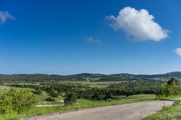Fototapeta na wymiar flat landscape with green vegetation and road