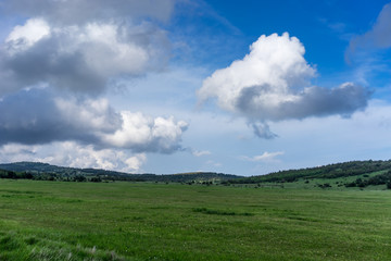 Fototapeta na wymiar A huge green field of grass under blue sky and white clouds.