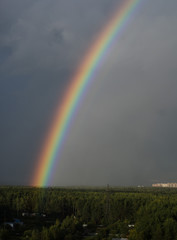 rainbow on the background of the forest and sky