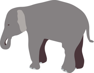 Elephant in the vector. This animal. Drawn by hand.