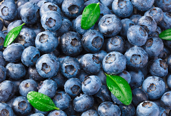 healthy background. blueberry texture. blueberries background. fruit background.