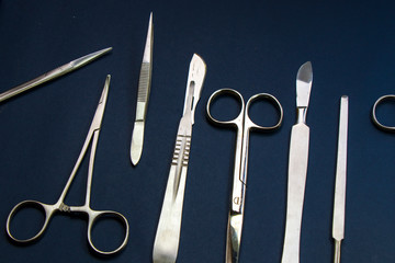 Dissection Kit - Premium Quality Stainless Steel Tools for Medical Students