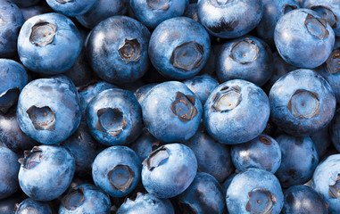 healthy background. blueberry texture. blueberries background. fruit background.