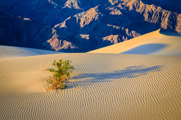 Death Valley Solitude