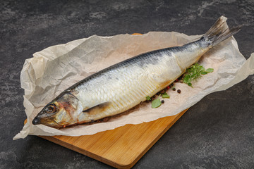 Salted Herring fish with pepper