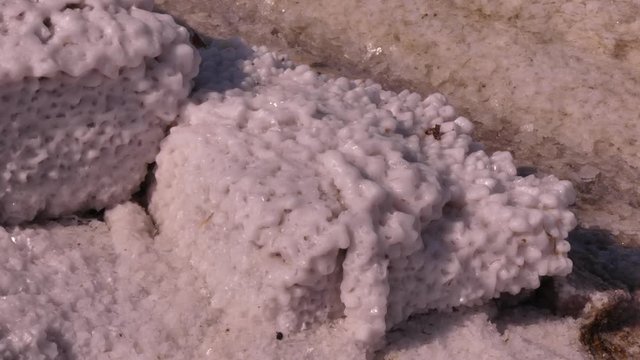 Kuyalnik is the saltiest estuary in Ukraine. Its salinity is greater than the salinity of the Sea! At the end of summer it turns pink ( algae Dunaliella salina) and a lot of salt appears here