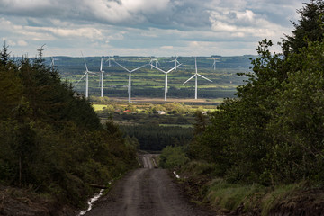 Fototapeta na wymiar View of wind turbine farm though a backroad in rural north county Kerry, Ireland