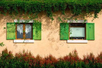 Fototapeta na wymiar A colorful vintage style building with yellow brick wall and green wooden window. It's also decorated by greenery leaf from rooftop and flower plant below. 