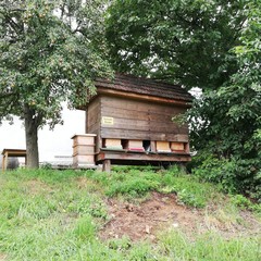 Fototapeta na wymiar Bienenstock