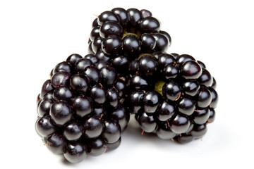 Fresh blackberry isolated on white background. macro photography. Fresh berries