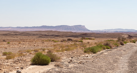 A view  of the Judean Desert from HaMinsara - a sandstone hill in the Ramon crater area, formed by the release of magma.