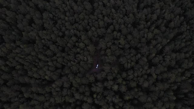 Drone overview footage of Grey Car in the middle of the forest