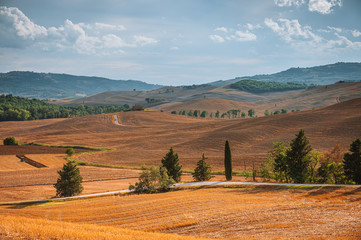 Obraz premium Autumn fall in the Italian land