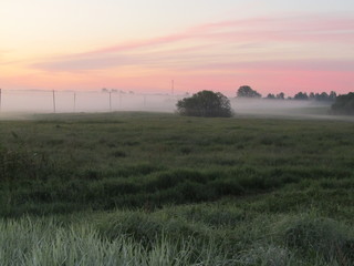 Russian field 