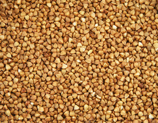 buckwheat groats background