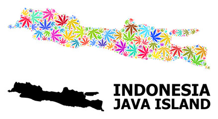 Vector Collage Map of Java Island of Psychedelic Hemp Leaves and Solid Map