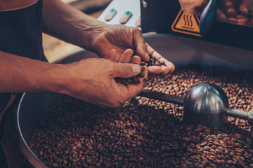 Man inspecting the roasted coffee beans