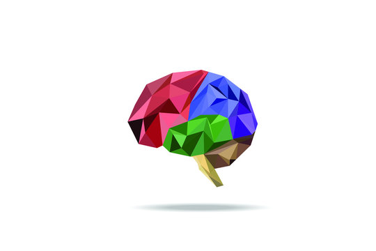 Brain polygon vector with white background,low poly style ,geometric and triangle modern design,section of brain cartoon element,vector art and illustration.