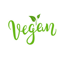 Vegan hand drawn beautiful lettering isolated on white background. - Vector illustration