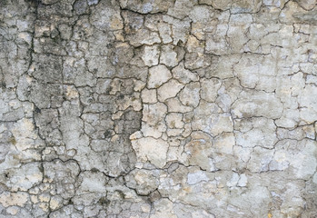Texture of gray, dirty, cracked concrete wall. Cracks background.