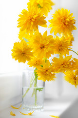 Autumn bouquet of  Golden balls flowers on a white background