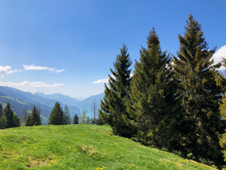 Fototapeta na wymiar Berglandschaft auf dem Flumserberg in der Schweiz 17.5.2020