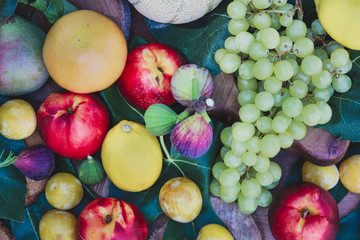 composition of fruits and vegetables viewed from above