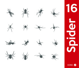 Set of spiders