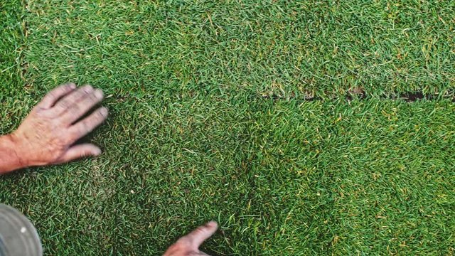 Man Laying Out Rolls Of Sod. Making A Lawn. SLOW MOTION. Unrecognizable gardener hands creating a perfect turf of green grass. Person working on a landscape design. 