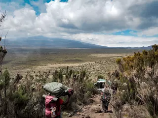 Papier Peint photo Kilimandjaro guides porters and sherpas carry heavy sacks as they ascend mount kilimanjaro the tallest peak in africa.