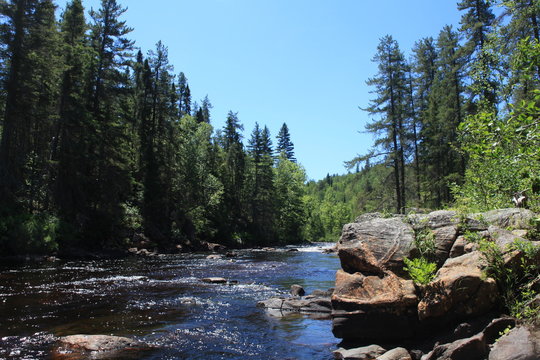 Rivière en forêt boréale lac saint-Jean Québec