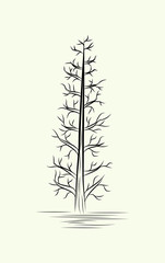 Tree Line Art Black and White Sketches Drawing