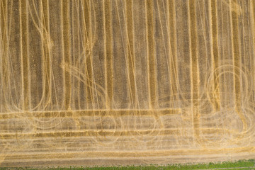 Bird's eye view of a harvested grain field in the Hessian Ried / Germany