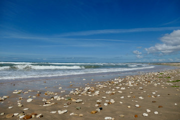 plage océan marée basse